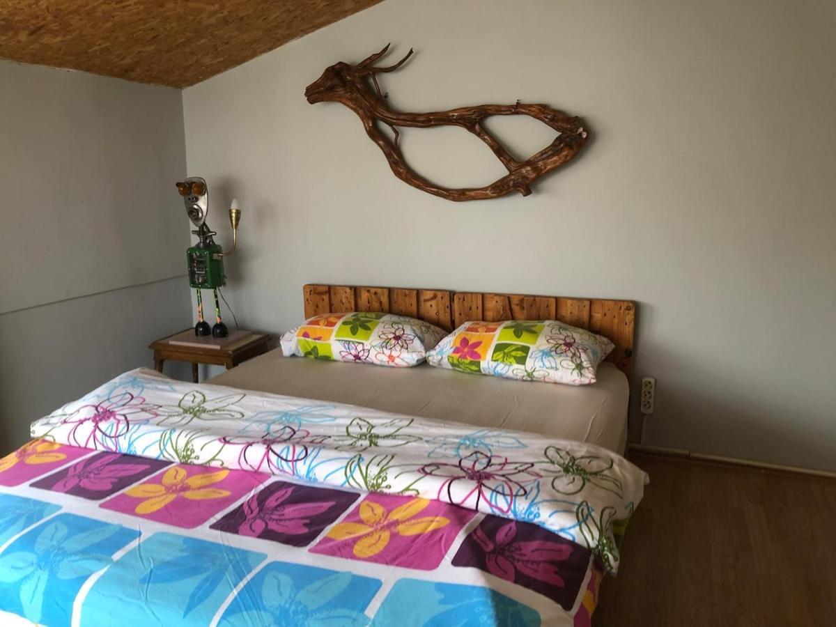 Daire Kaleici Very Stylish Design Affordable Antalya